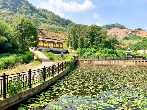 原來家門口這么多好玩的 國慶假期,武穴人必去的景點(diǎn)都在這