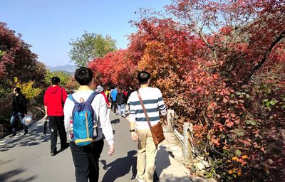 金秋時(shí)節(jié),紅葉谷游覽必須關(guān)注的幾個(gè)點(diǎn)!