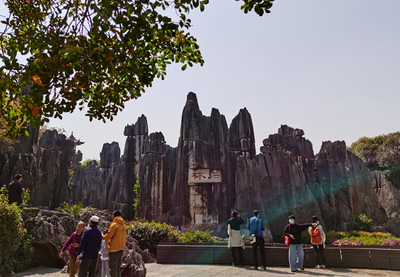 云南石林景區(qū)恢復開放 重開首日安全有序