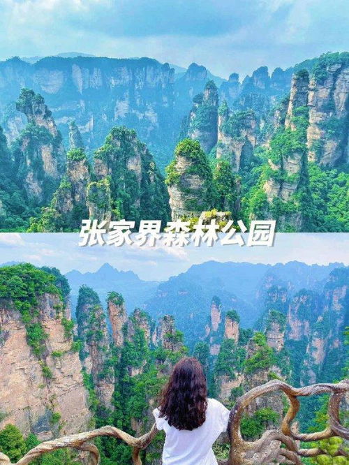 張家界四天旅游多少錢,張家界旅行社4日游價(jià)格,省錢避坑攻略