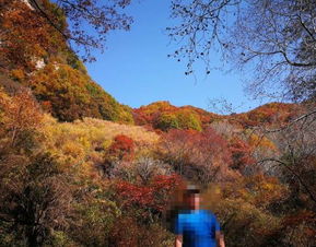 2019平山駝梁風(fēng)景區(qū)游玩全攻略 門票價(jià)格、游覽路線、地址與服務(wù)詳解